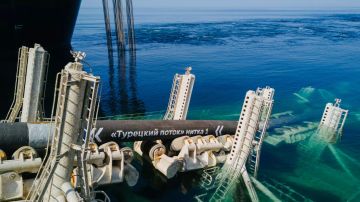 ����� �������: ��������� "������� ������" ������, ������ � ���. ����� 19 �����