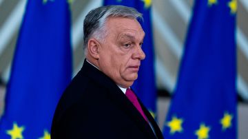 �� ���� �������� �������� ������ �� ����� �������� ������ �������