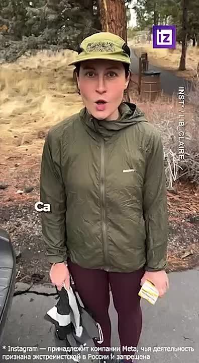 ��� � ������: ��� �� �������� ���������� �������� � ��������?
