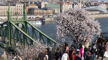 �����: � ������ ������ ������� �� ��������� � �����