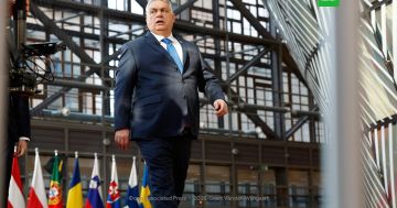 �������: ����� �������� ���������� ���������� ��-�� �����