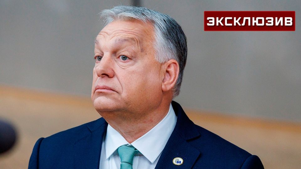 �����: � �� ��������, ��� ����� ��������� ������ � �� ������ �� ������