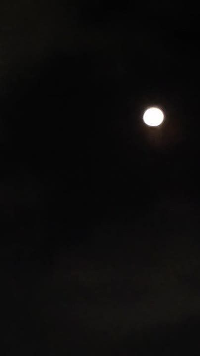 ������ � �����. ������� ������ ��������� ����� ������� �������� � �������� � ������