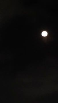 ������ � �����. ������� ������ ��������� ����� ������� �������� � �������� � ������