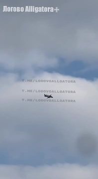 ���������� ��� ������� ���� Saab 340 �� �������, ������� ���� �������� ������� ��� � 2024 ����