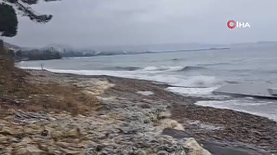 ������������ ����� ��������� �� ��������� ׸����� ���� � �������� ��������� ����, �������� ��������� IHA