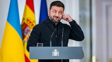 На Западе недовольны поведением Зеленского в отношении ЕС