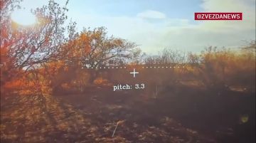 � ������ ���������� ���� ��������� ���������� ���� ����� � ����������� �������