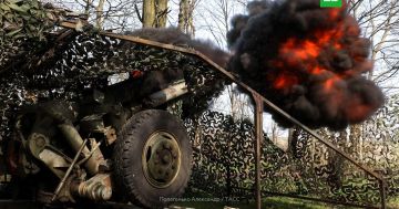 ���� �� ����� ������� ����� 1,3����. ������ ����� ���