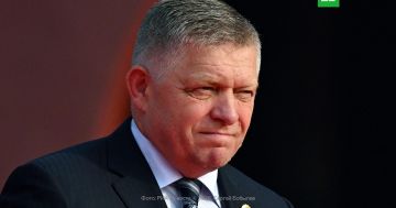 ������ ��������� ����: ������� �������� ���� ������� ������� ������� �����