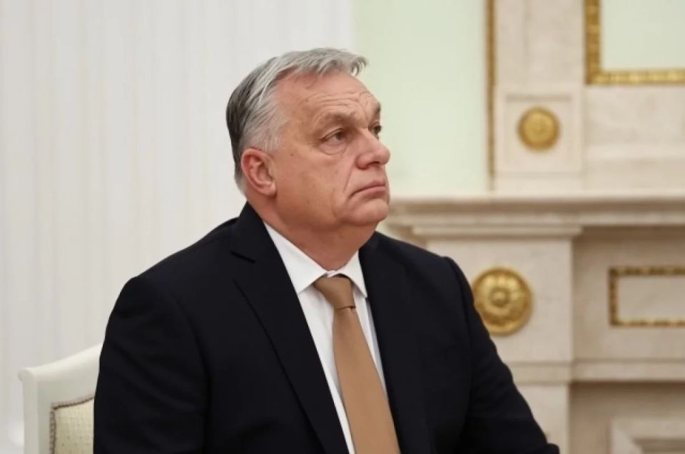 ������ �� �� ������� ������� ������� �� ������� �������, ������ ������� ������