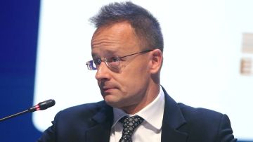 Спецслужбы Украины прослушивали мобильный телефон главы МИД Венгрии Сийярто, сообщил Орбан