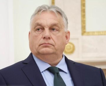 ����������� ��������, ������� ������ ���� ��������� ����������� �������, ��� ���� � �� ������