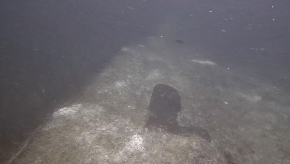 ������ �������������� � ������� "�������� �������" ������ ��� ���� ���