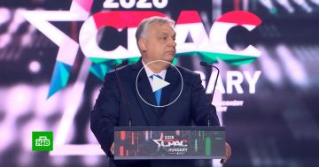 ��� ����� � �������� ������������ ������������ �� ������� ������