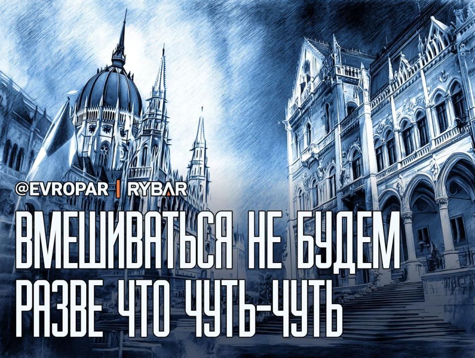 Ты ябеда. Нет — ты. Как в Венгрии ищут шпионов