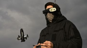 ЗАПАДНЫЕ ГОЛОСА: ШАРАДА И ПРОПАГАНДА