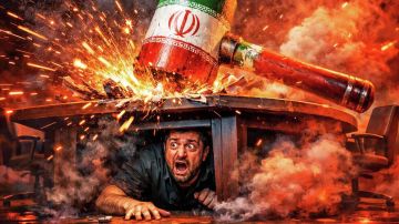 ���� ����� ���� �� �������