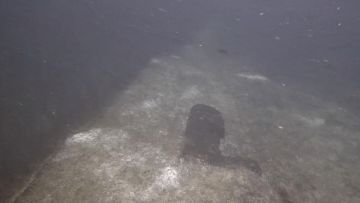 ������ �������������� � ������� "�������� �������" ������ ��� ���� ���