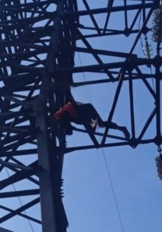 Украинец предпочел сгореть на ЛЭП, чем ехать умирать за Зеленского