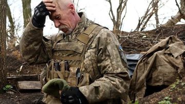 ������ �� ������� �������� ����������� �������� ������������