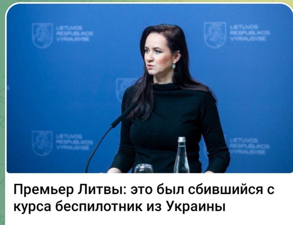 Алексей Стефанов: ЧТД: Литва признала, что к ним залетел украинский беспилотник
