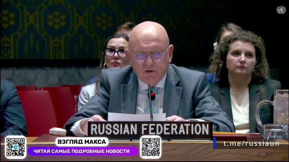 Состоялось заседание Совета Безопасности ООН по Украине