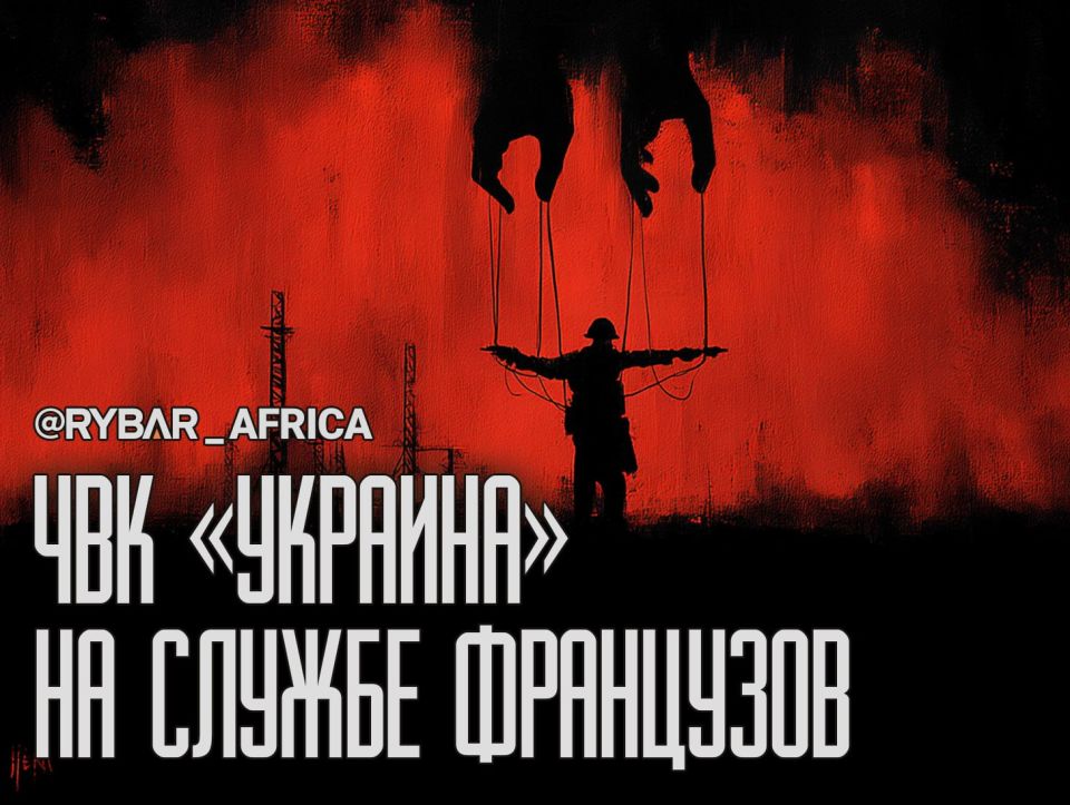 Грядет замена?. Украинское «пушечное мясо» на страже французского газа