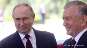 �������� ����� ������ ���������� �������� � ����������� ����������� �������� ���������, �������� � ������