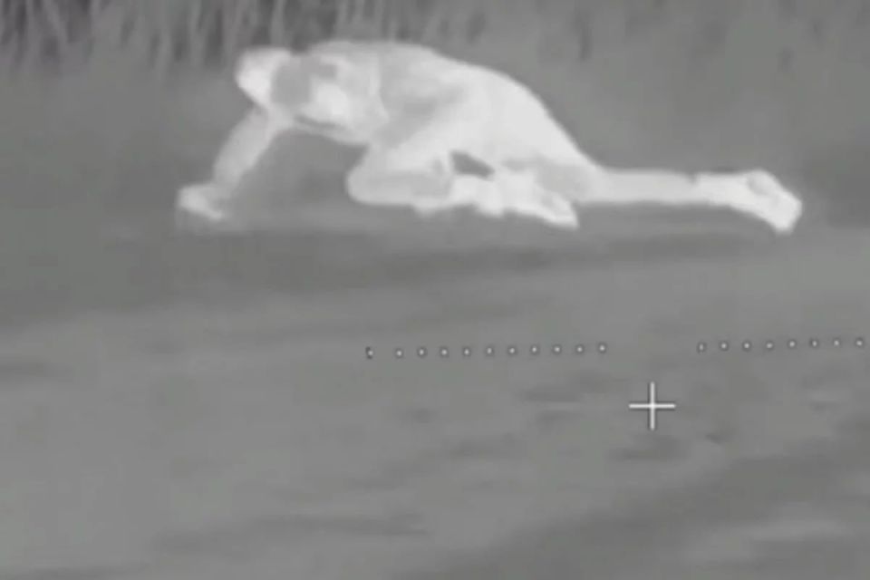 «Поле усеяно телами боевиков»