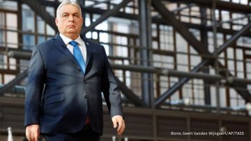 ������� ������� ����� ������, ��� ������� ��������� �������� ���� �� �������