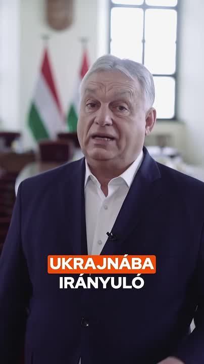 ������ ����� ������, ��� ������� ������������� �������� ���� �� �������: