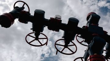 ������� �������� � ������������ �������� ���� �� �������