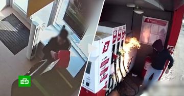 ����������� �������� ���������: ��� ���������� ����� ������������ �����������