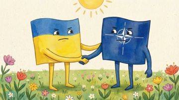 Рютте: вступление Украины в НАТО сейчас не стоит на повестке дня