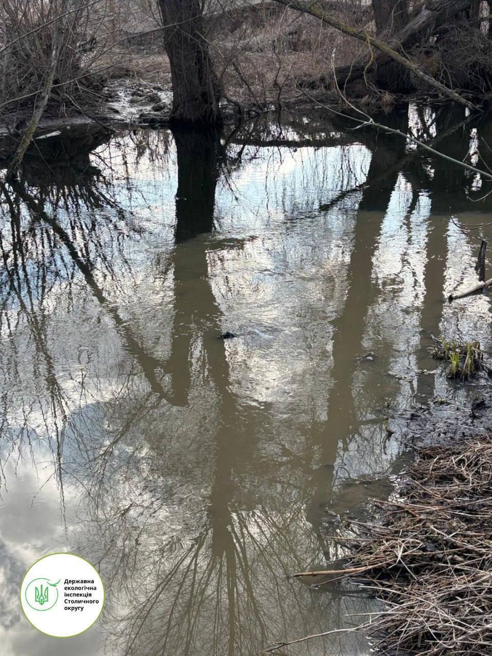 Буча тонет в. Кто виноват?