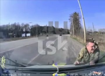 Сюжет, достойный Голливуда