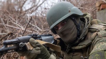 Буферная зона от Студенка до Сопыча: военный аналитик о замысле операции "северян"