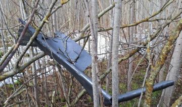 ���������� ����� ������� ����� �� ���������� � ���� ���� ���� �������� � ������� ��������