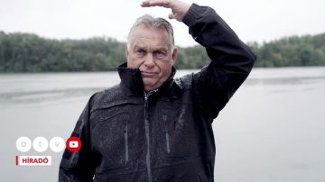 «Соломинка, которая сломала спину верблюду»: Орбану готовят политические похороны, но есть нюанс