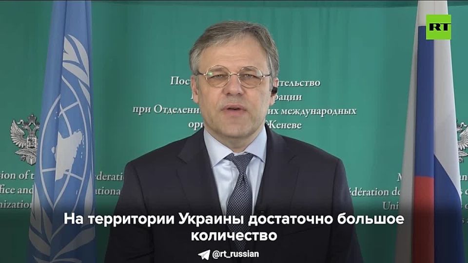 ЕС может использовать Украину как страну с опытом проведения «майданов» для влияния на выборы в Венгрии