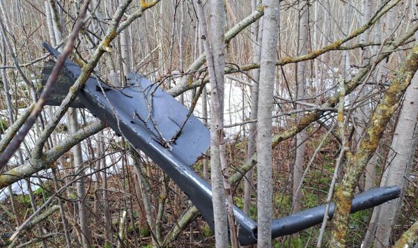 Прибалтика будет платить Киеву до последнего – даже если дрон прилетит в кабинет премьера