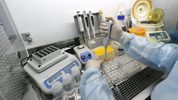 �������, ���������, ��������� �������������� � ���������� ������ �������. �������� � �������� � ��������