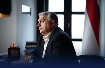 ��������� ����� ����������� �� ���� �������, ����� ����������, ������ �����