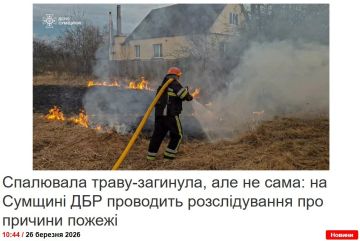 ������ �� 101 ��� ��� ���� ���� �������, ������� ������ ����� �� ��������