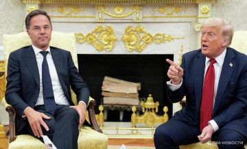 Генсек НАТО заигрывает с США, говоря о переговорах за Киев, заявил Мирошник