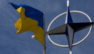 �����: ������� ��-�������� �������� ����������� ����������