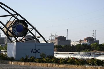 Постпред России в Вене заявил о претензиях МАГАТЭ из-за их оценок по ЗАЭС