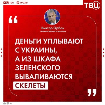 Из шкафа Зеленского вываливаются скелеты, заявил Виктор Орбан