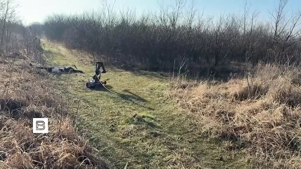 ������������ ��� � ���������� ������������ �����������-���������������� ���, ��������������� ����������� �� 1995 ���� �������� �� ������� ��������� �������